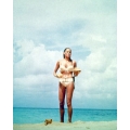 Dr No Ursula Andress Photo